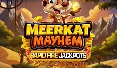 Meerkat Mayhem